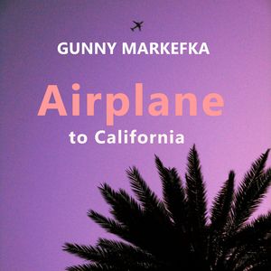 Airplane to California