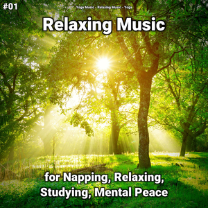 Relaxing Music Part 46