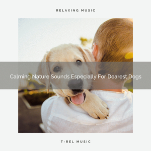 Interesting Wind Songs Especially For Our Dogs