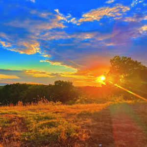 力争（prod.byZone)