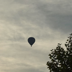 天边的风筝被撕碎了