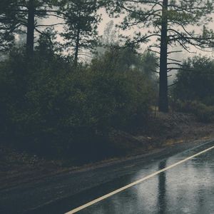 被雨淋湿的青春