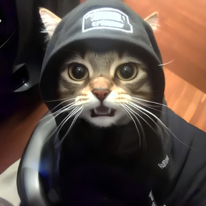 CHIPI CAPHA (PHONK REMIX)