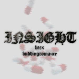 insight (feat. Beex)