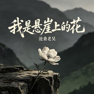 我是悬崖上的花（我爱的人没陪我到最后）