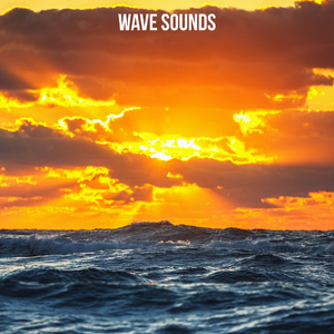 Palms, Beach & Sunshine