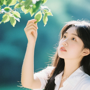 再见那天风很轻