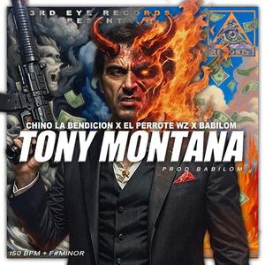 Tony Montana (feat. El Perrote WZ & Babilom Produce)