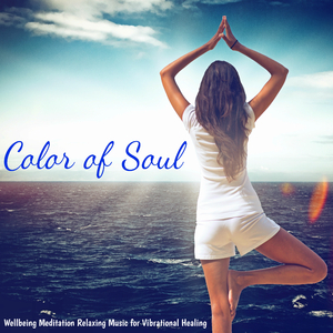 The Color of Soul (Biofeedback Training Music)