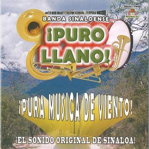 Lomas De Escuinta