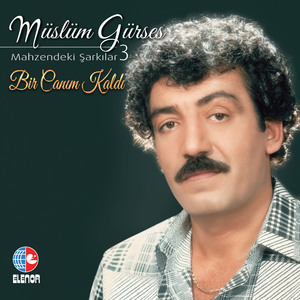 Bir Canım Kaldı (Mahzendeki Şarkılar 3)