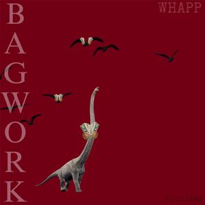 bagwork!