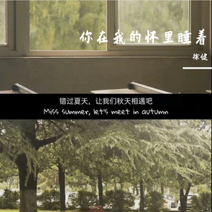 你在我的怀里睡着