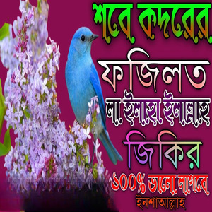 সবে কদরের ফজিলত লা ইলাহা ইলাল্লাহ জিকির ভালো লাগবে ইনশা আল্লাহ