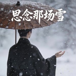 思念那场雪