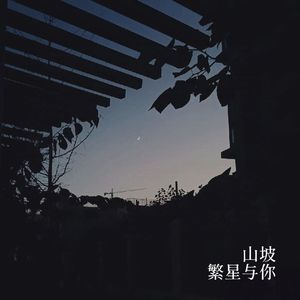 山坡上的繁星与你