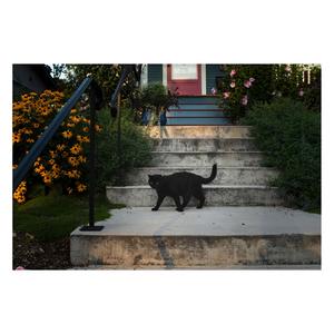 Spirit Halloween (Acoustic)