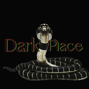 DARK PLACE(暗处）