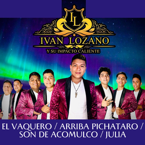 El Vaquero / Arriba Pichataro / Son De Acomulco / Julia