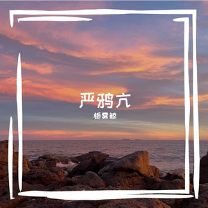 泻绷