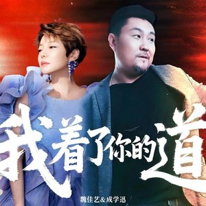 成学迅、魏佳艺-我着了你的道（男女对唱版)