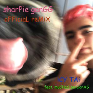 Sharpie Gangg Remiiix (feat. ****** Dan, Lil Alphahore, Matt Daydream, Lil Stitchy, Roll$ Rocco, Yvng Skraatan & Lil Kataphlam)