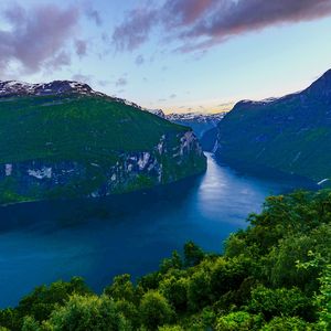虫鸣的私语 夜晚宁静入梦