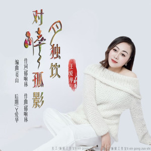 对月独饮醉孤影