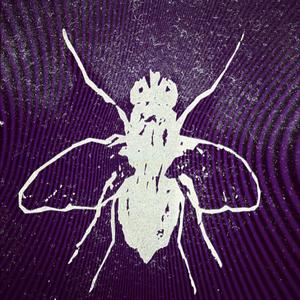 Escargot (feat. Ezra Guyll)