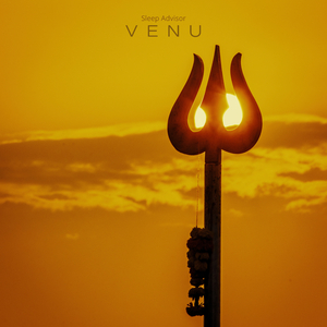 Venu