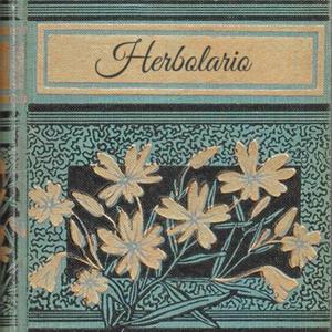 Tótem (feat. Satori Rewire)