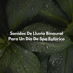 Oasis De Sonido Refrescante