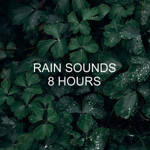 Gentle Rain Sounds