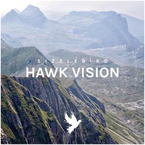 Hawk Vision