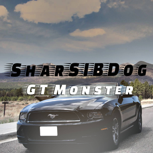 Gt Monster (Original Mix)