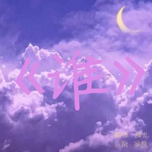 谁（翻自 李航皓）