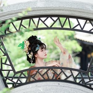 酒醉的蝴蝶（翻自 孙艺琪）