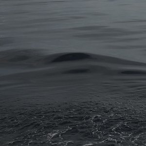 黑夜里的假面戏.wav