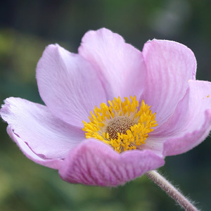 Jangan Salah Menilaiku (Remix)