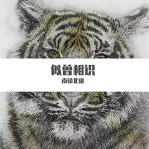 门