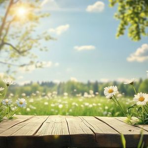 纸船与候鸟 伴奏