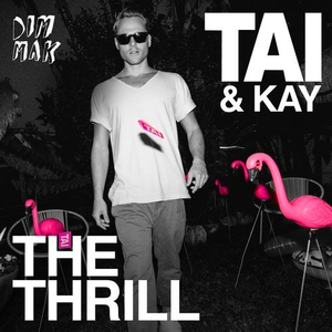 The Thrill (Ziggy & Jamie Westland Remix)