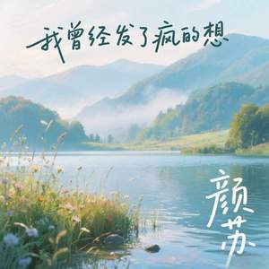 我曾经发了疯的想