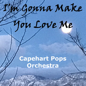 I'm Gonna Make You Love Me