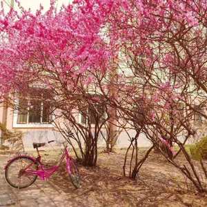 恋爱大冒险(Prod.CodyCash)