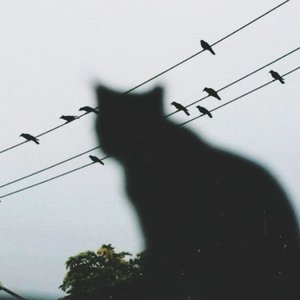 得知坦然失之淡然