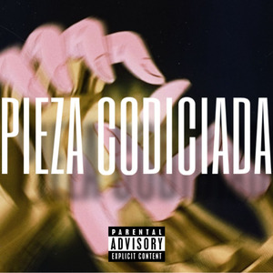 PIEZA CODICIADA