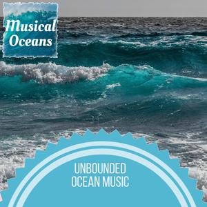 Crickets Night White Noise