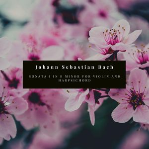 Sonata for Violin and Harpsichord in B Minor:III, Andante