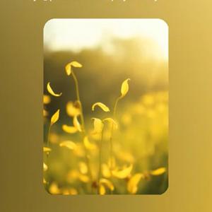 봄기운 (Spring Fever)